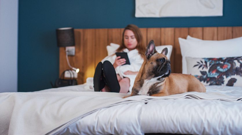 Hotel Texel
